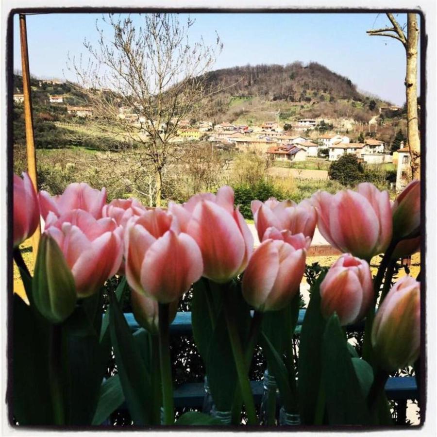 Belvedere Resort Ai Colli Гальциньяно Экстерьер фото